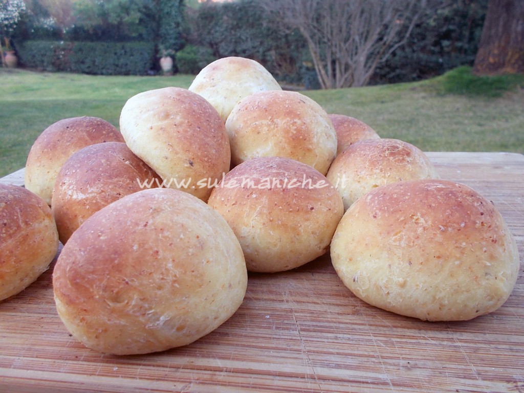 paniniRipieni