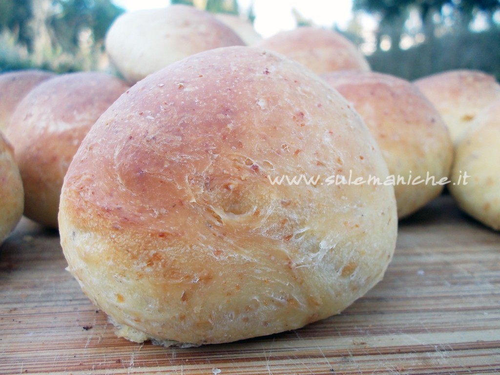 paniniRipieni3